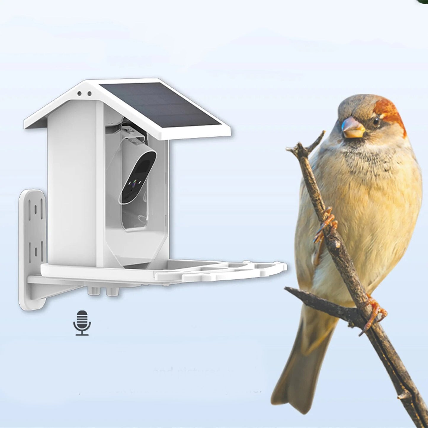 Innovatieve Solar Vogelvoederplaats - Ontdek de natuur op een unieke manier!