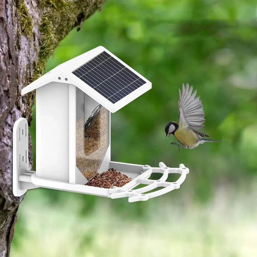 Innovatieve Solar Vogelvoederplaats - Ontdek de natuur op een unieke manier!